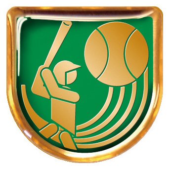 Amazon | WIN V-TOPプレートチェンジ トロフィー【野球】 JAL